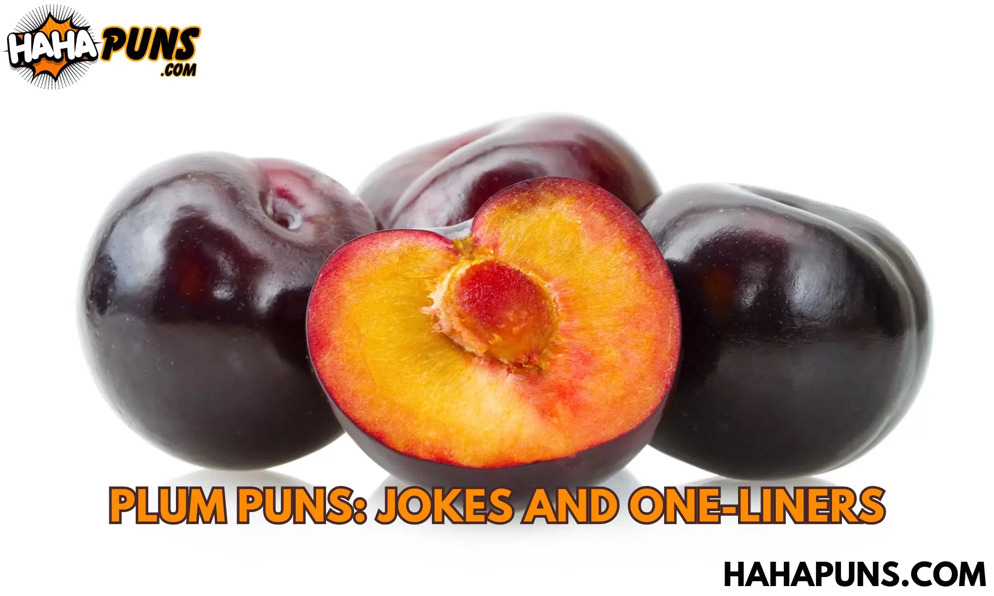 Plum Puns: Jokes And One-Liners