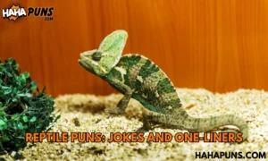 Reptile Puns: Jokes And One-Liners