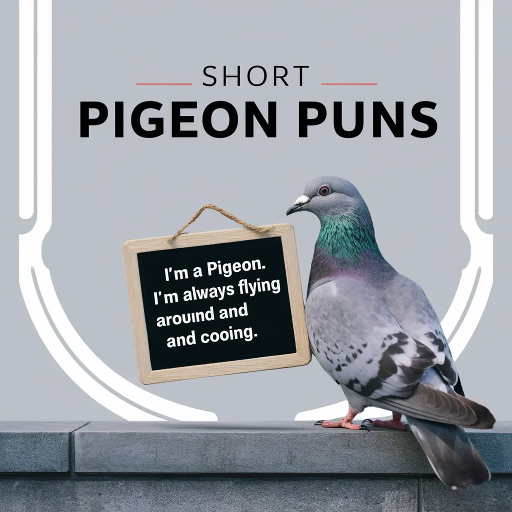 Short Pigeon Puns