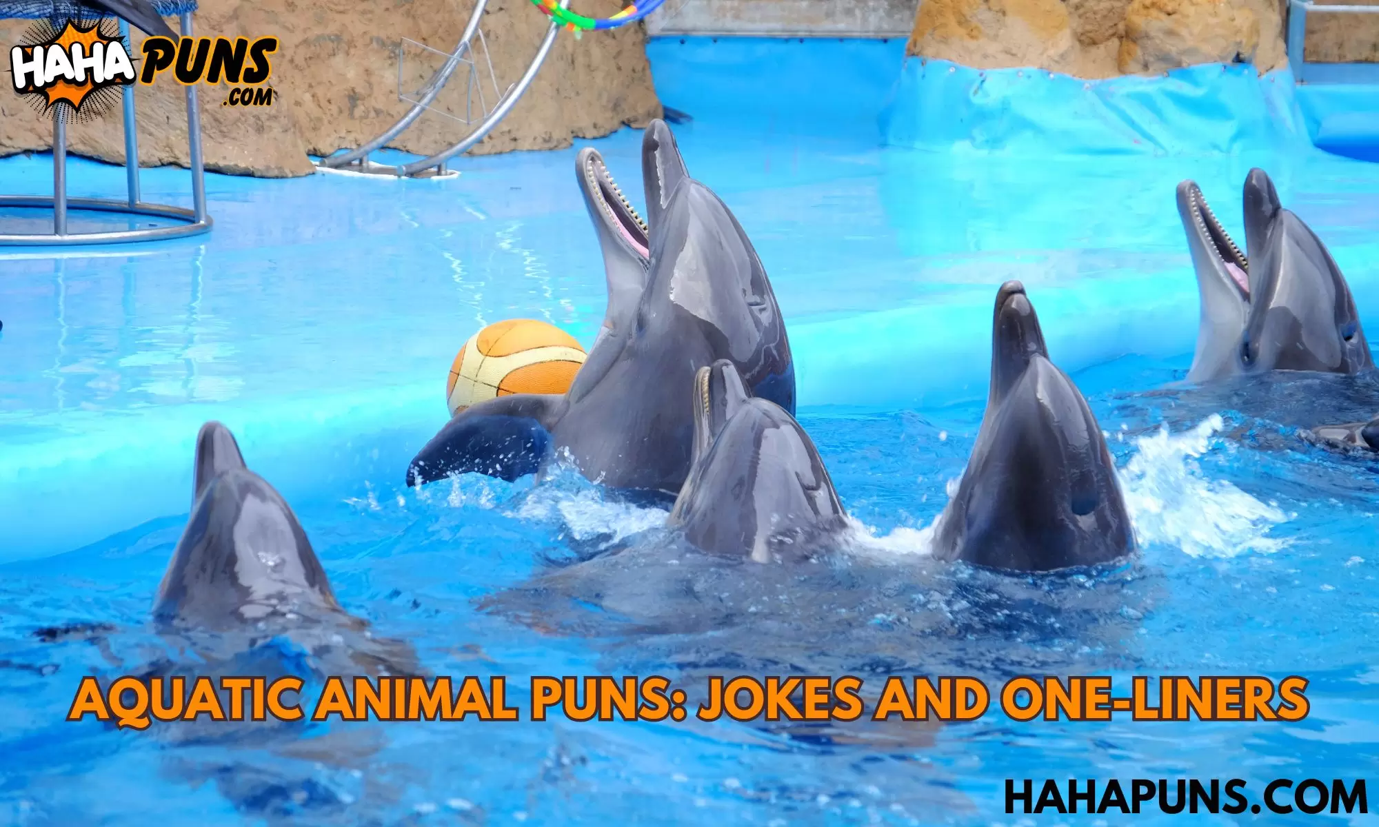 Aquatic Animal Puns: Jokes and One-liners