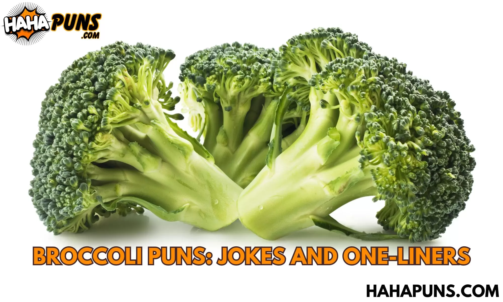 95+ Broccoli Puns: Jokes And One-Liners