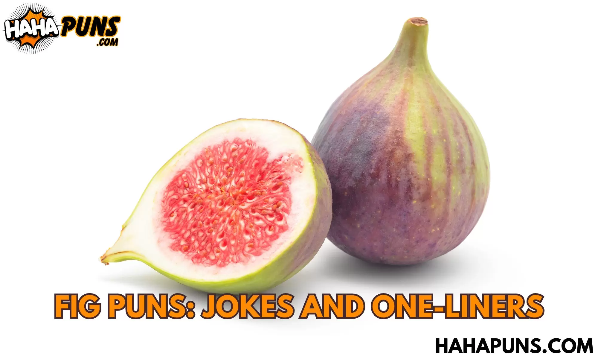 95+ Fig Puns: Jokes And One-Liners