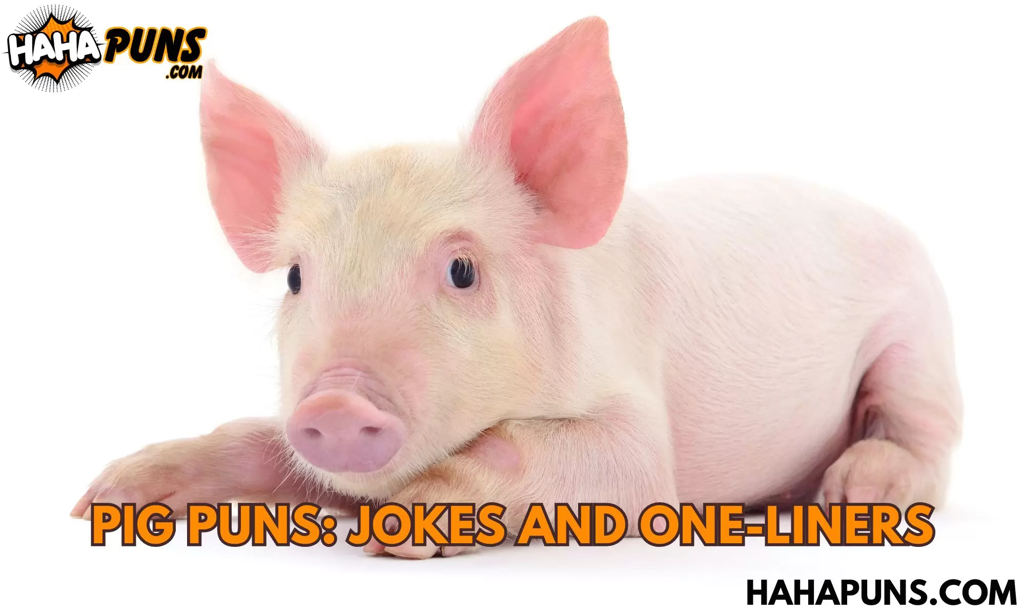 Pig Puns: Jokes and One-Liners