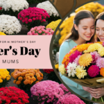 Funny Mother’s Day Puns And Jokes