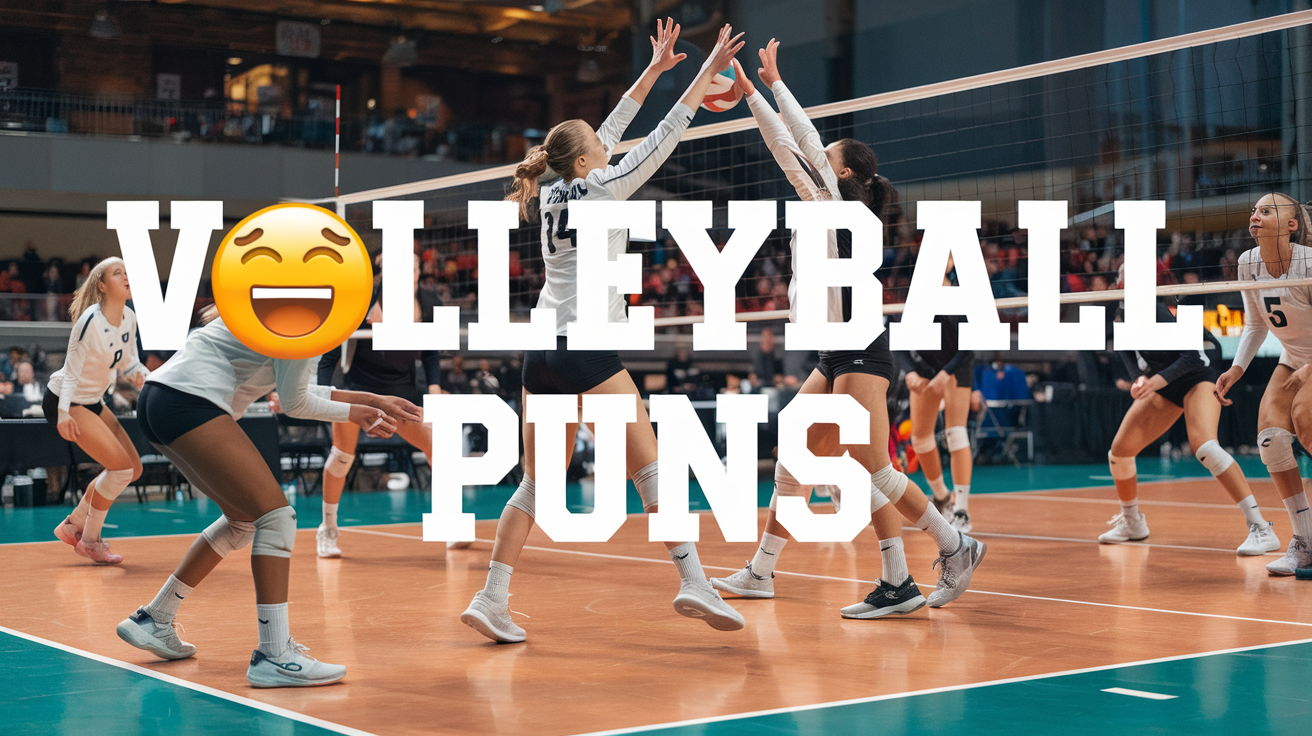 Volleyball Puns