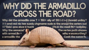 Armadillo Puns